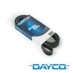 Dayco Polyrib Drive Belt NISSAN Pathfinder R51 4.0L V6