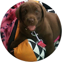 jakey3658 profile picture