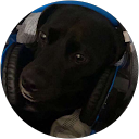 Hayden Carr profile picture