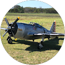 Damien Ferrito profile picture