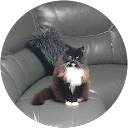 Malcolm Howe profile picture